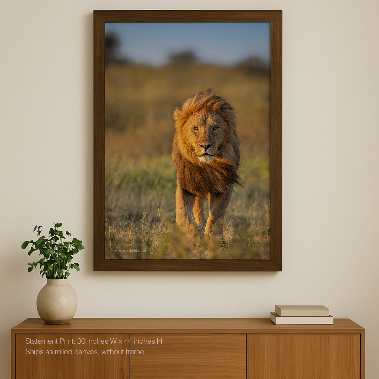 Mufasa walks