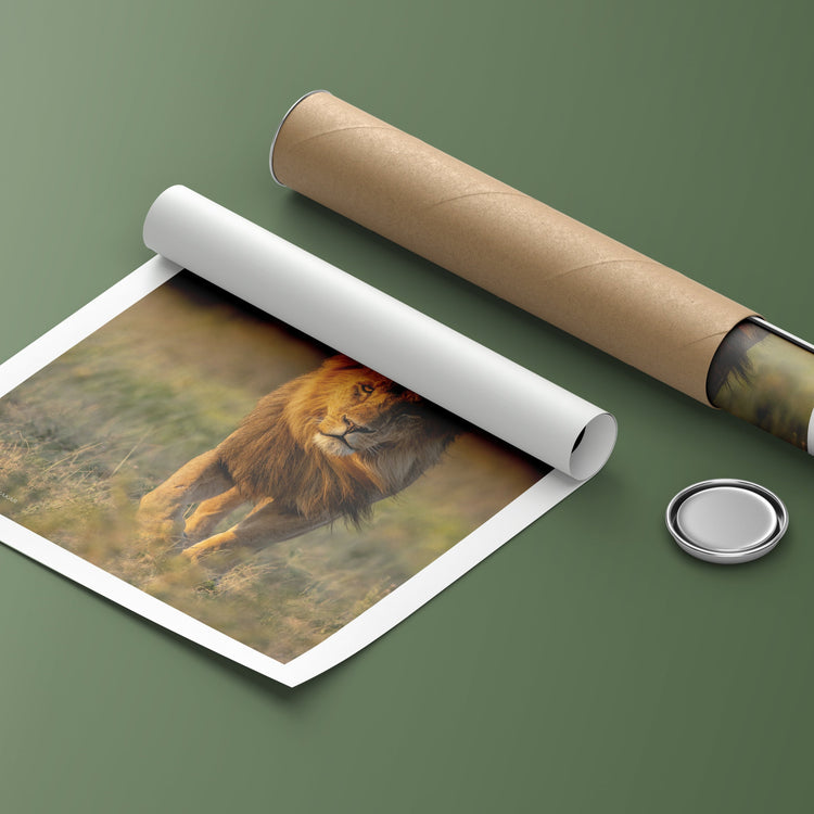 Prints