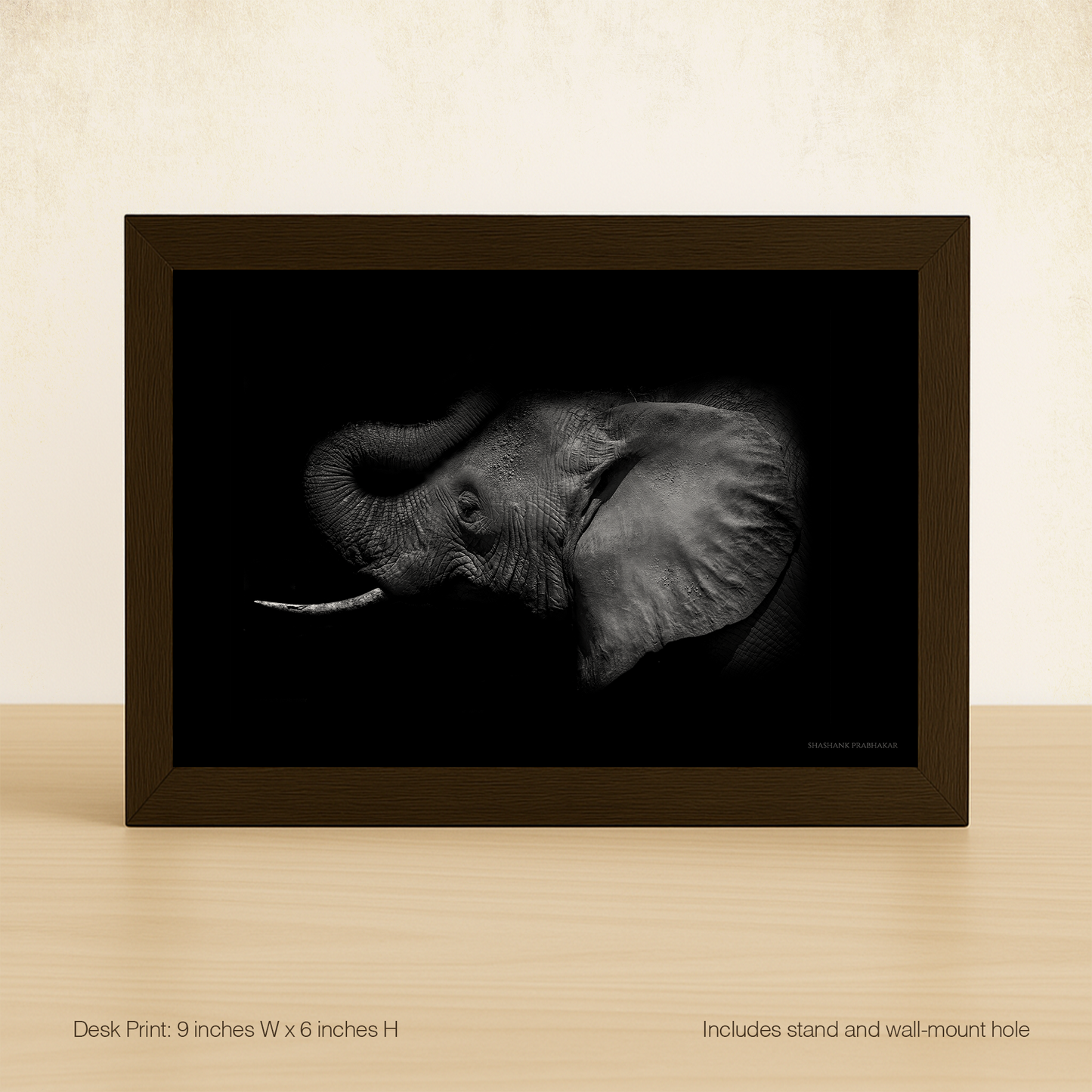 Elephant echo