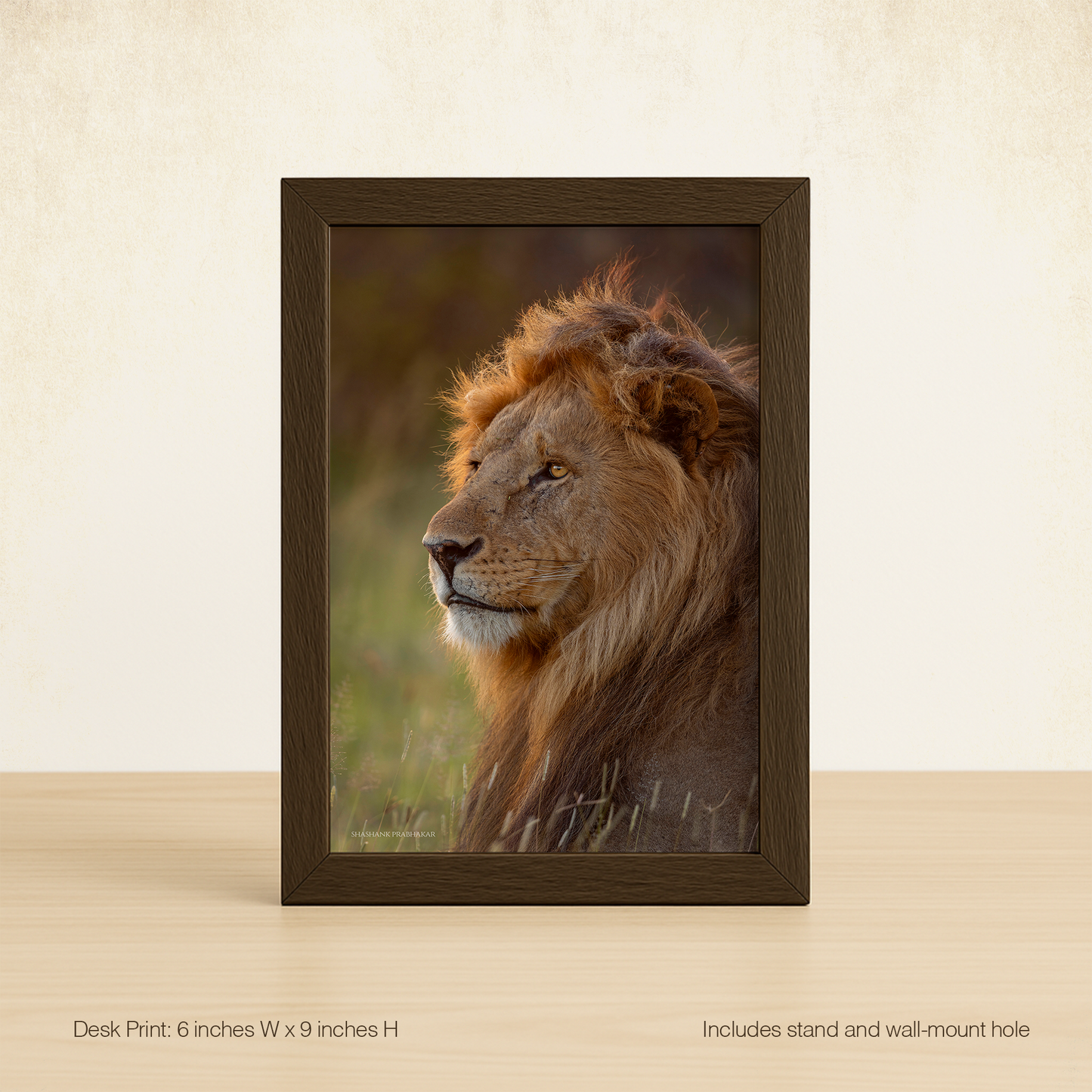 Mane character