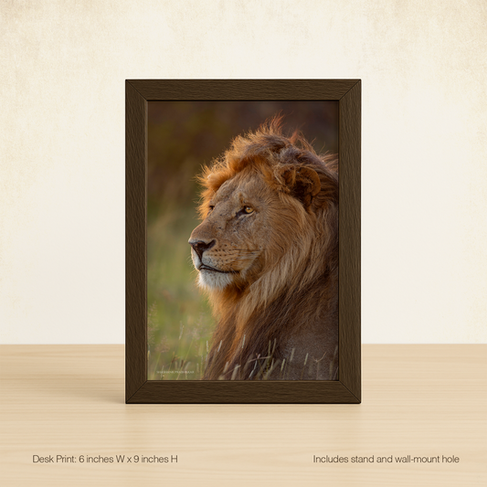 Mane character
