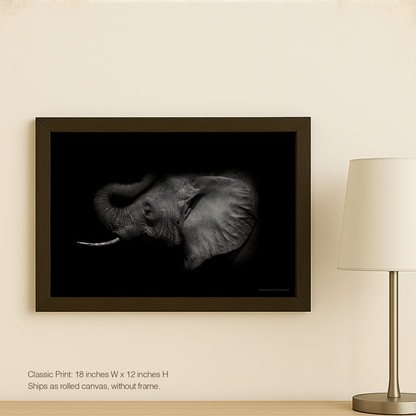 Elephant echo