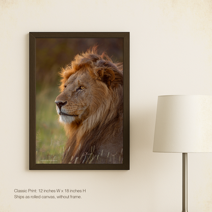 Mane character