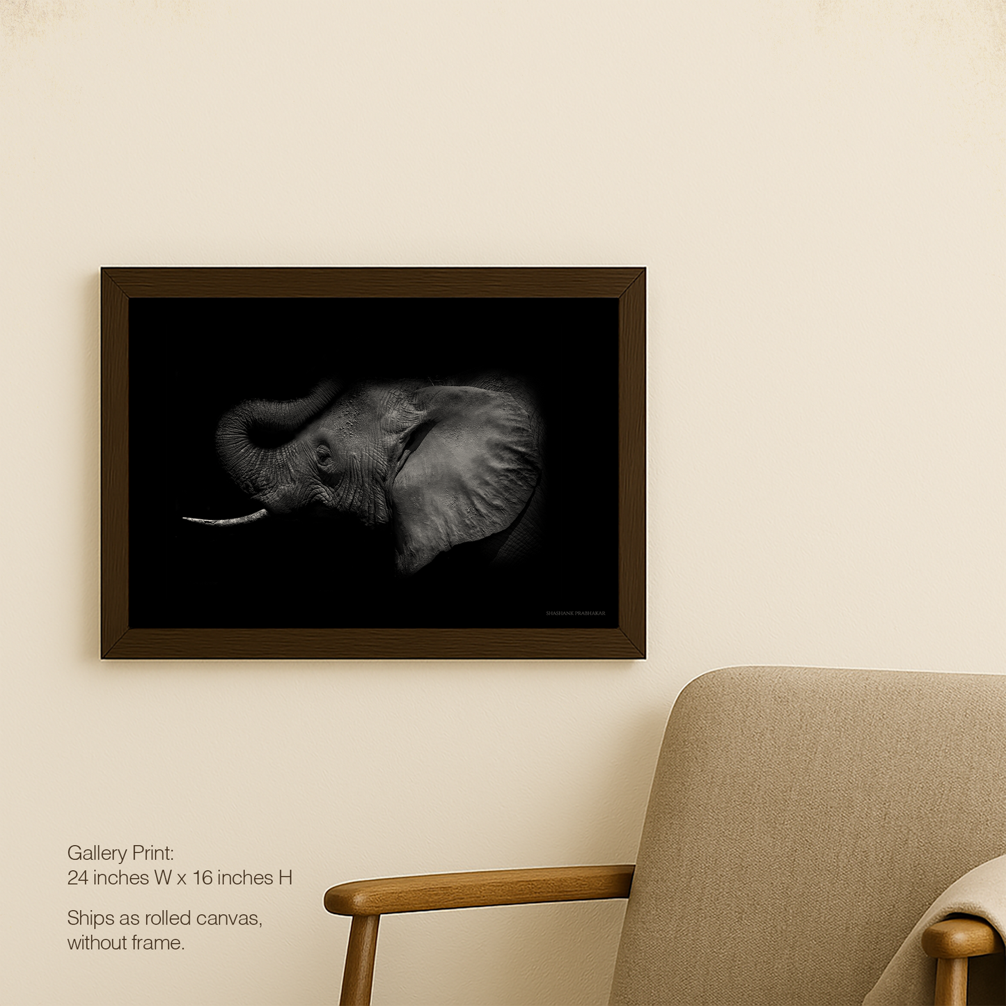 Elephant echo