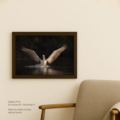 Wonder wings
