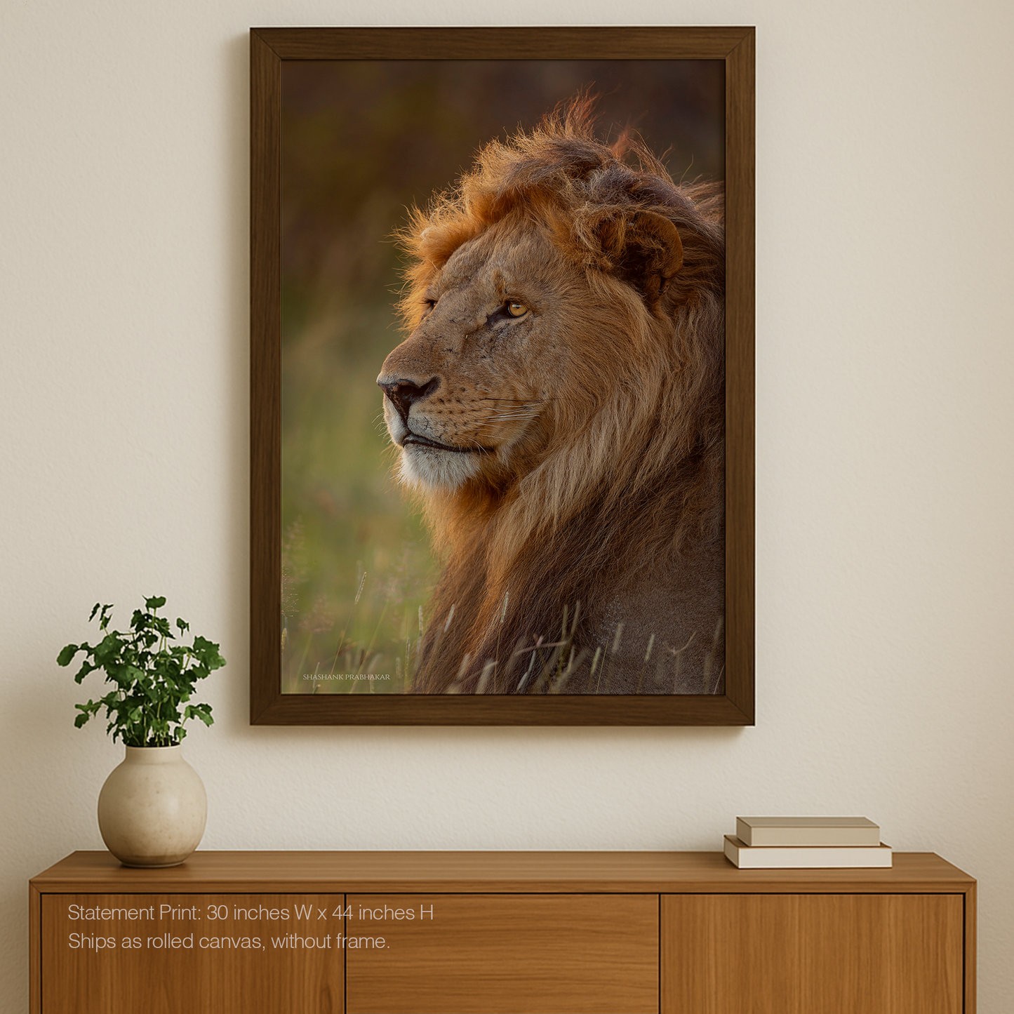 Mane character