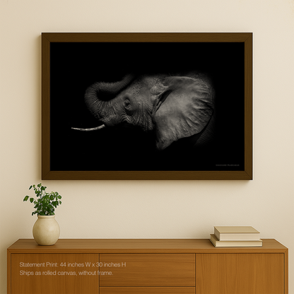 Elephant echo