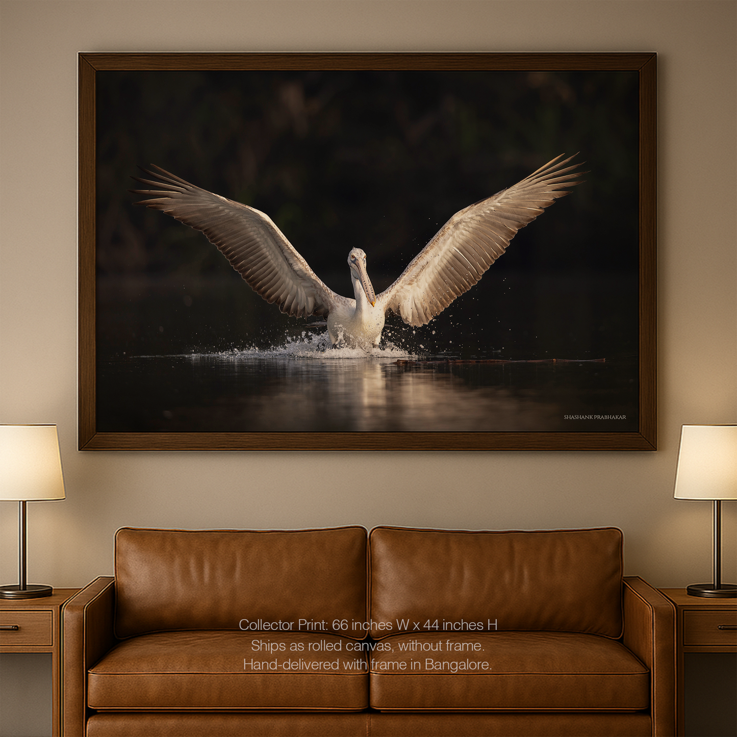 Wonder wings
