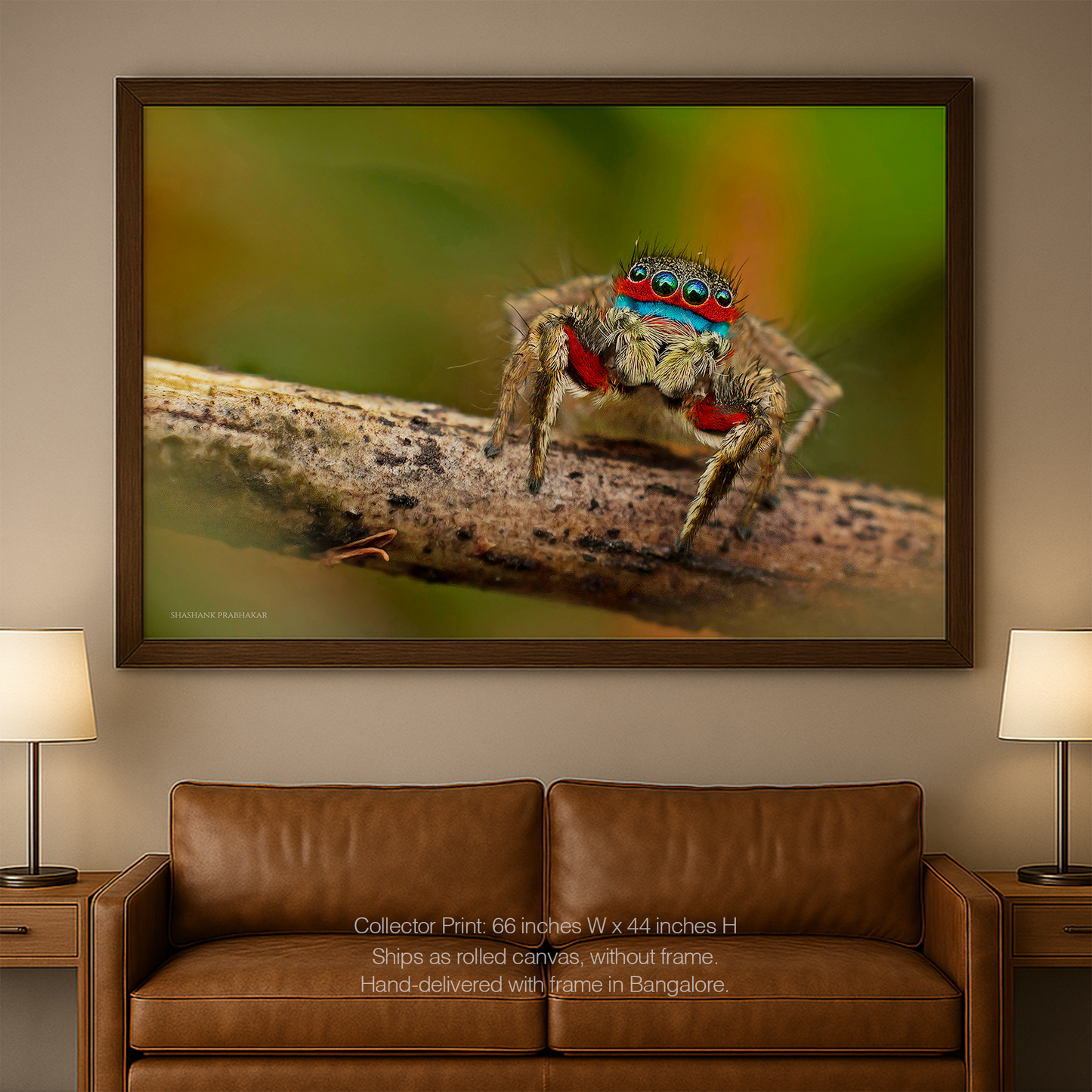 Colourful jumper