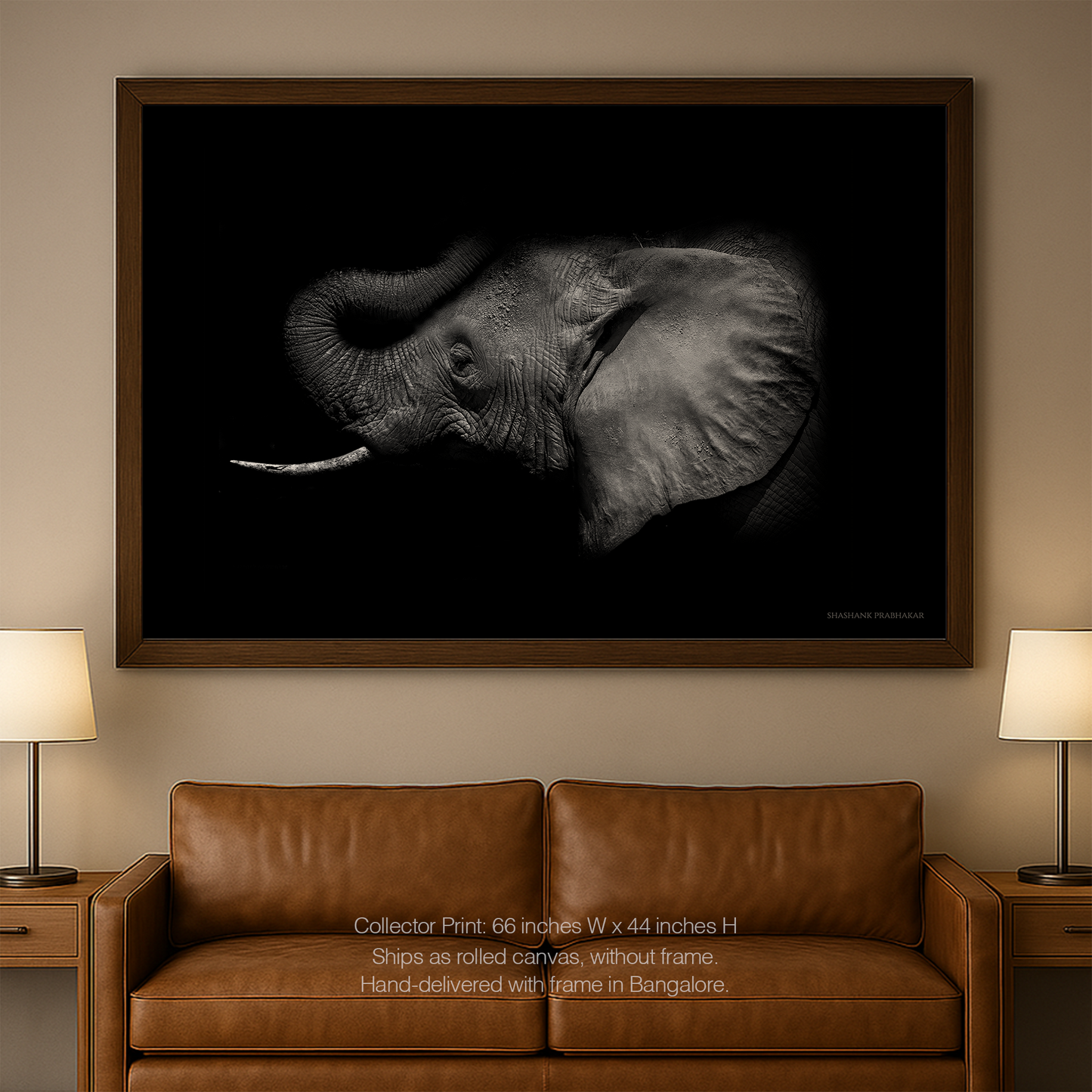 Elephant echo